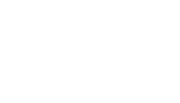 world map pleuger